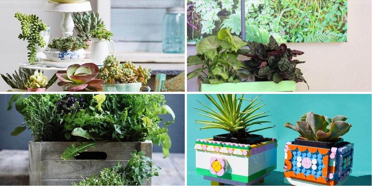 Budget-Friendly DIY Planters