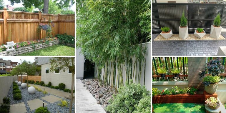 Best Fence Landscaping Ideas