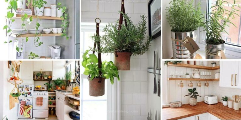 Best Kitchen Decorating Ideas With Plants