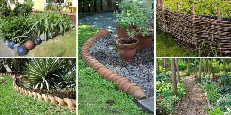 Best Garden Lawn Edging Ideas