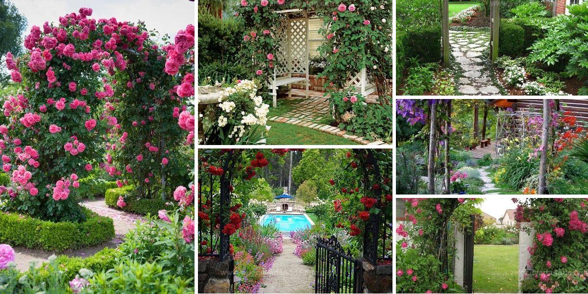 Best Flower-Covered Garden Gates