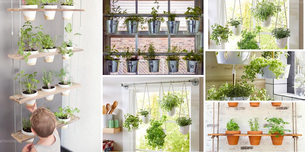 Best DIY Hanging Herb Gardens