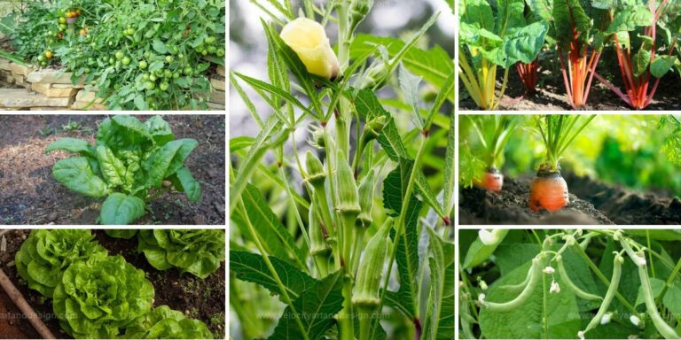 Top Vegetables That Support Pepper Growth