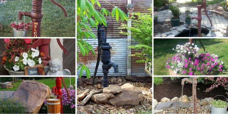 Best Old Hand Pump Garden Projects