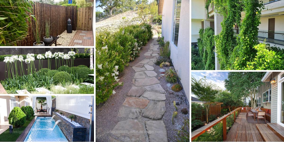 Best Side Yard Landscaping Projects