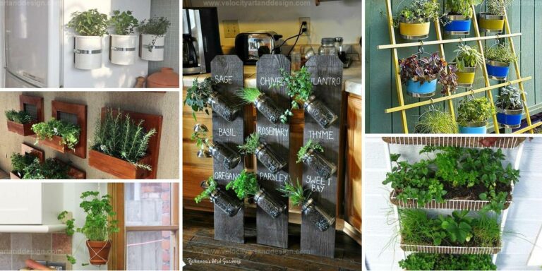 Best Small Vertical Herb Gardens