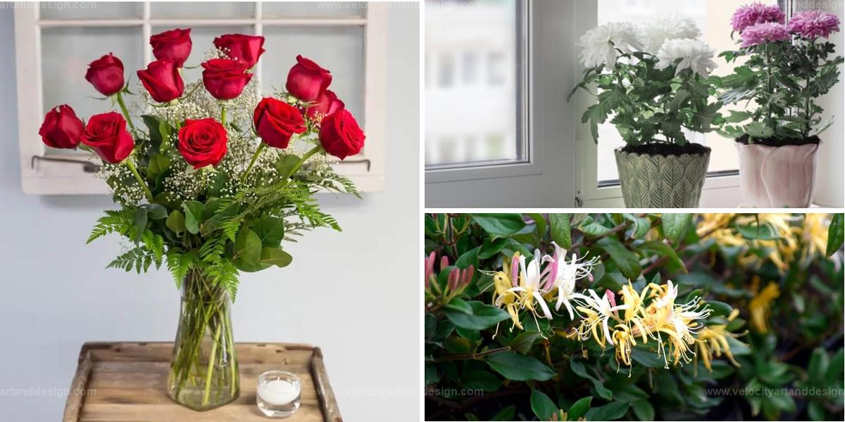 Best Cut Flowers to Regrow from Bouquets