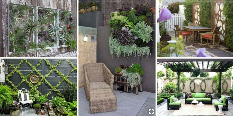 Best Patio Wall Ideas