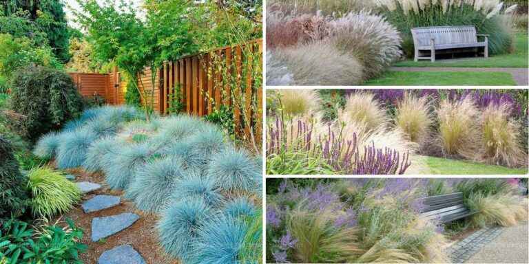 Best Garden Designs with Ornamental Grasses