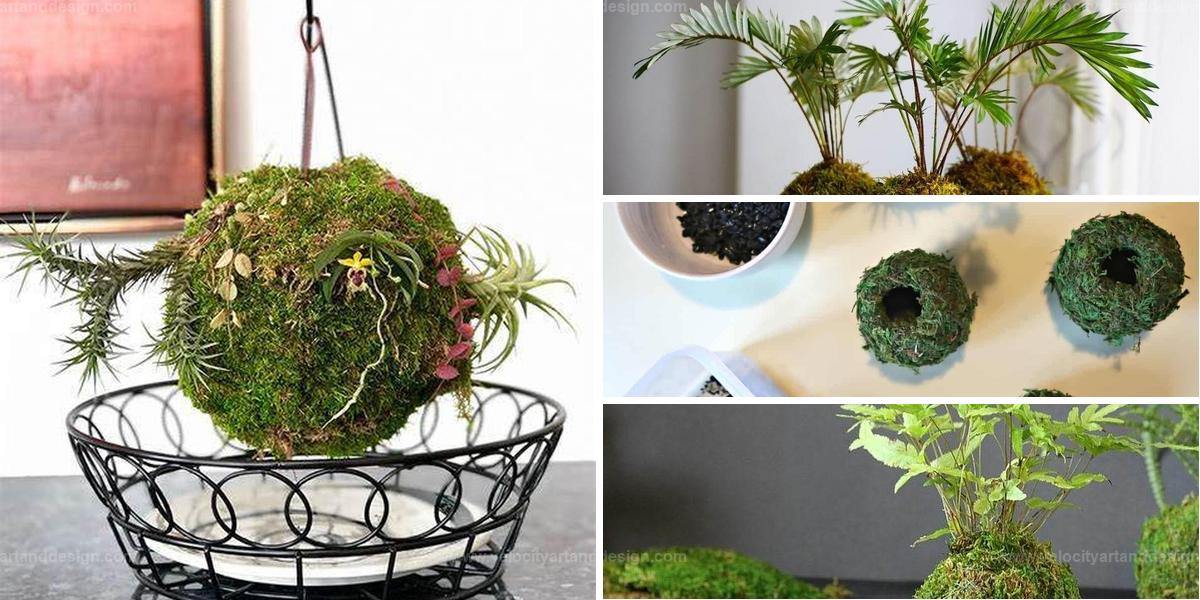 Top Guide to Kokedama: Japanese Moss Ball Art