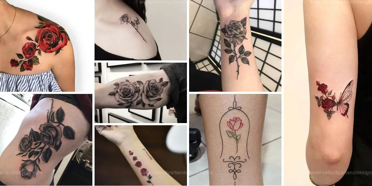 Best Rose Tattoo Designs for a Bold Statement