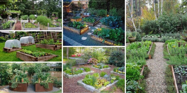 Best Raised Garden Beds