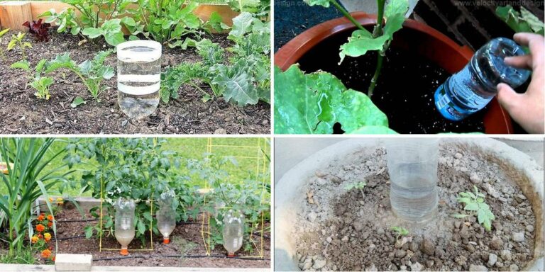 Easy Steps to Build a DIY Bottle Vegetable Waterer