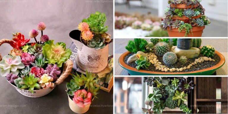 Best Succulent Garden Ideas