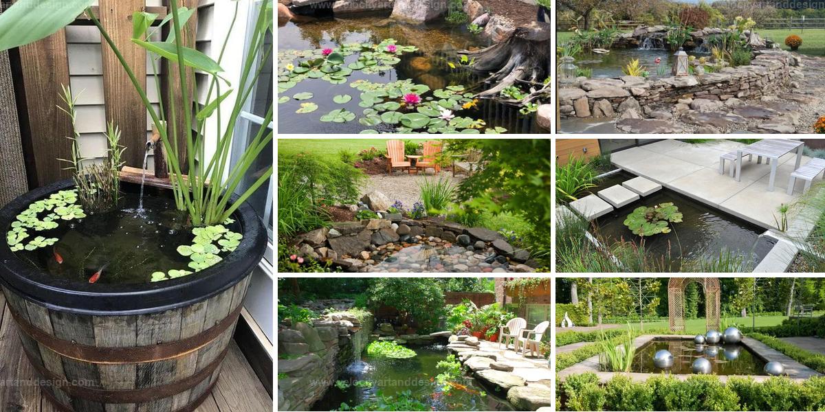 Top Creative Garden Ponds