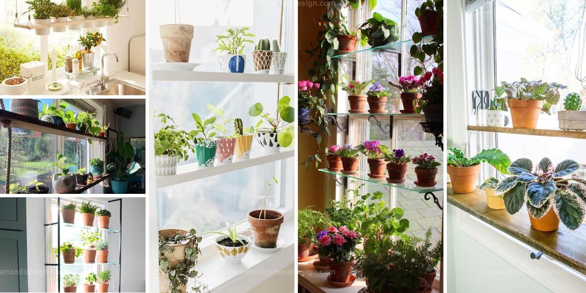 Best Smart Indoor Window Plant Shelf Ideas