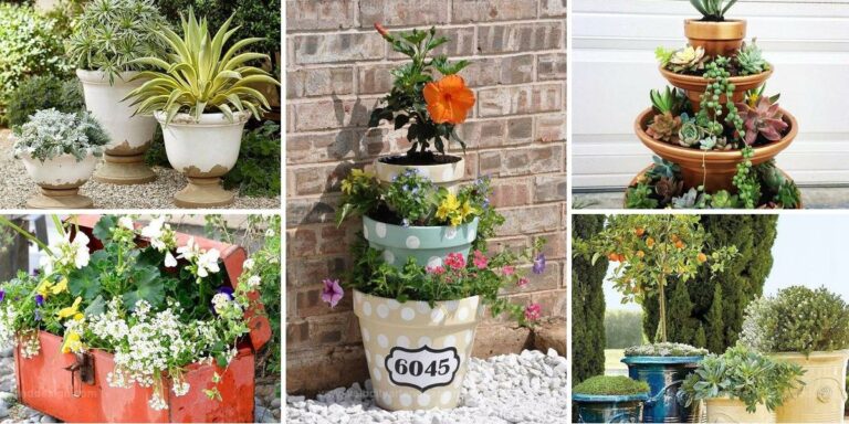 Top Container Gardening Designs