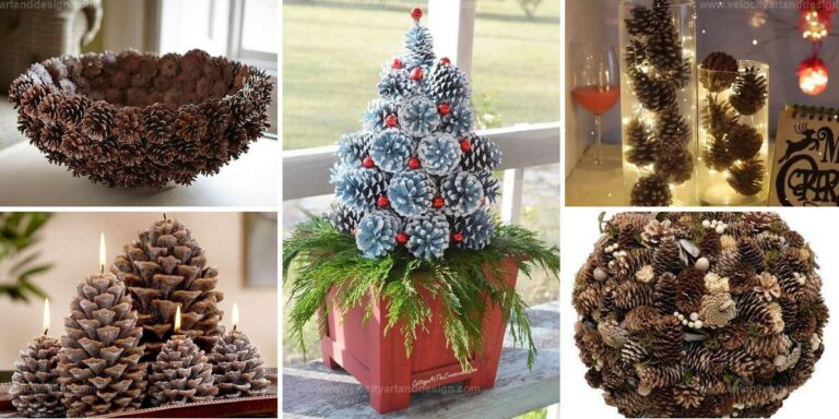 Top Pine Cone Crafts for Rustic Homes