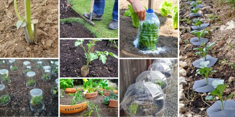 Best Free Garden Hacks