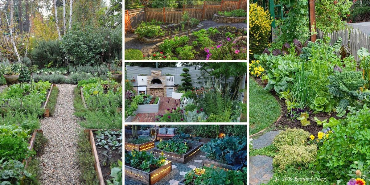 Best Vegetable Garden Ideas