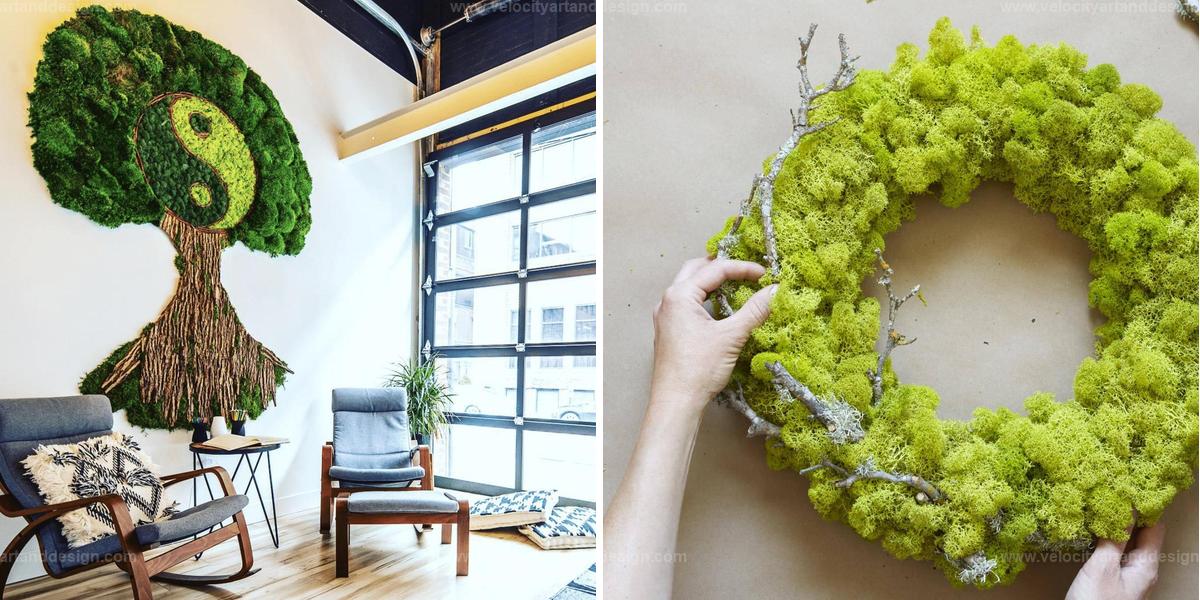 Best Indoor Moss Garden Ideas